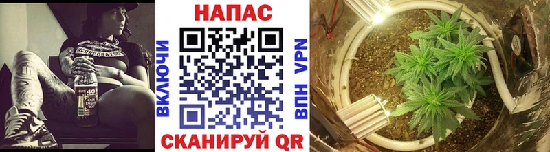 МЕГА ссылки  что такое   Строитель  Канабис SATIVA & INDICA 